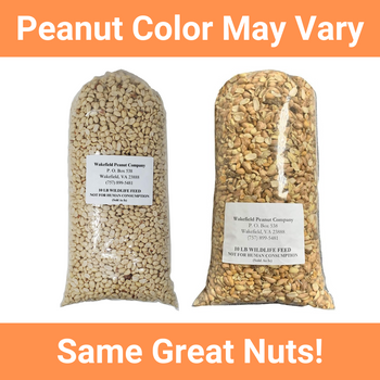 Wakefield Virginia Peanuts Animal Grade Raw Wildlife Peanuts (10 LBS) (Peanut Color May Vary, Same Great Nuts!)