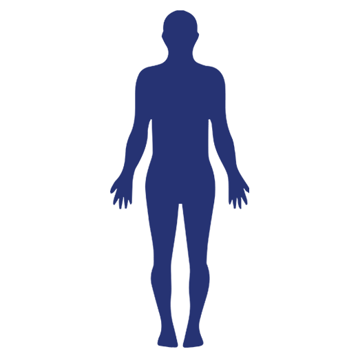Body Part