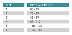 med-back-measurements.png