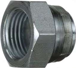 Female British Standard Pipe Parallel Cap
