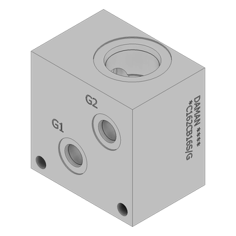 Ductile Common Cavity Body - DC162CB16S/G