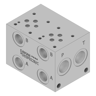 Ductile Valve Manifold - DD03P022B/C