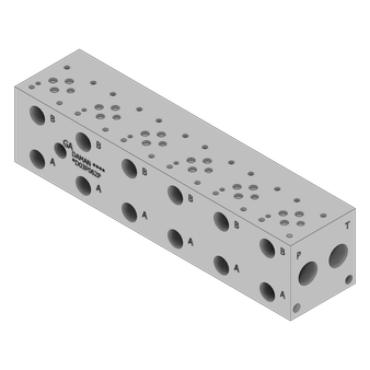 Ductile Valve Manifold - DD03P062P