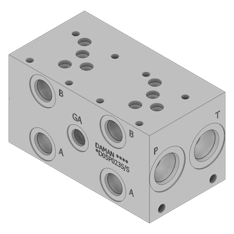 Ductile Valve Manifold - DD05P023S/S