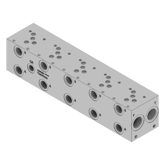 Ductile Valve Manifold - DD05P053S
