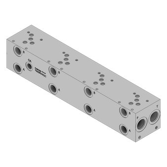 Ductile Valve Manifold - DD05P045S/C