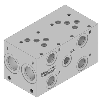 Ductile Valve Manifold - DD05P023S/C
