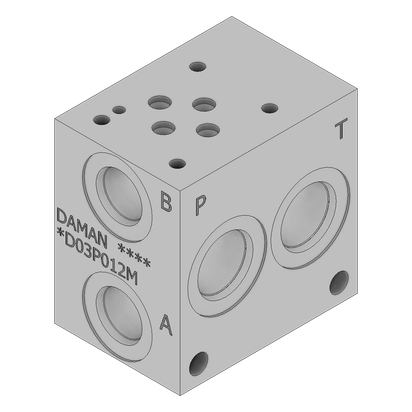 Aluminum Valve Manifold - AD03P012M
