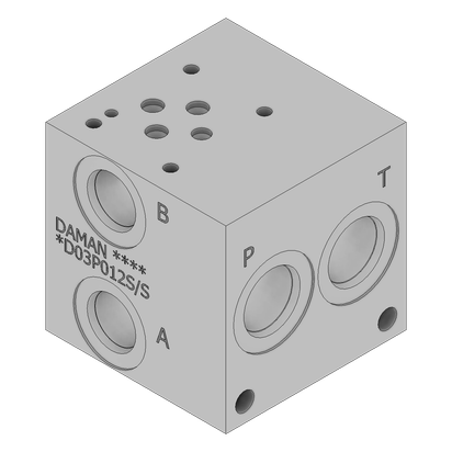 Aluminum Valve Manifold - AD03P012S/S