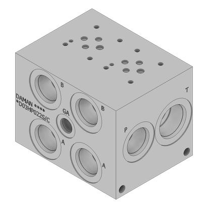 Ductile Valve Manifold - DD03HP022S/C