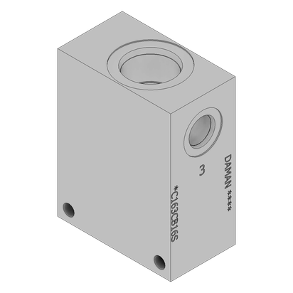 Ductile Common Cavity Body - DC163CB16S