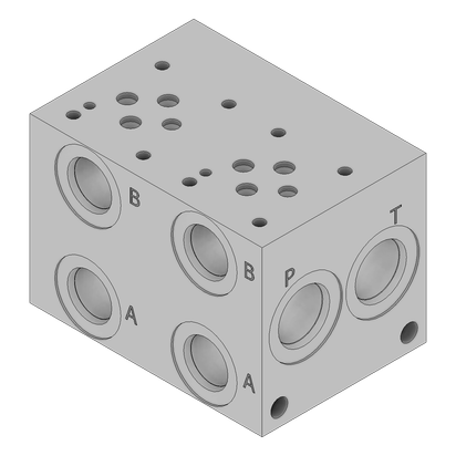 Ductile Valve Manifold - DD03P022S/PA