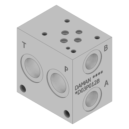 Ductile Valve Manifold - DD03P012B