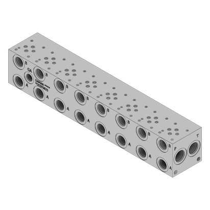 Ductile Valve Manifold - DD03P082S