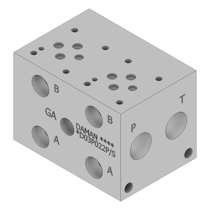 Ductile Valve Manifold - DD03P022P/S