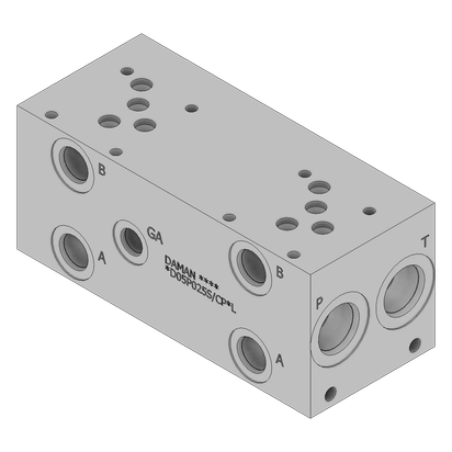 Ductile Valve Manifold - DD05P025S/CPAL