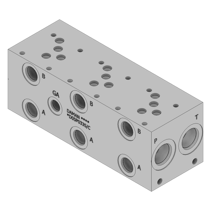 Ductile Valve Manifold - DD05P033S/C