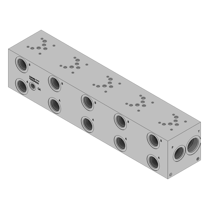 Ductile Valve Manifold - DD05JP055S