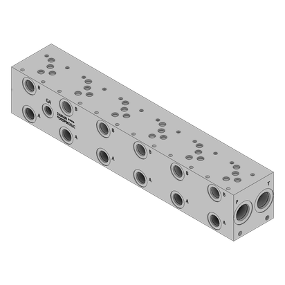 Ductile Valve Manifold - DD05P063S/C