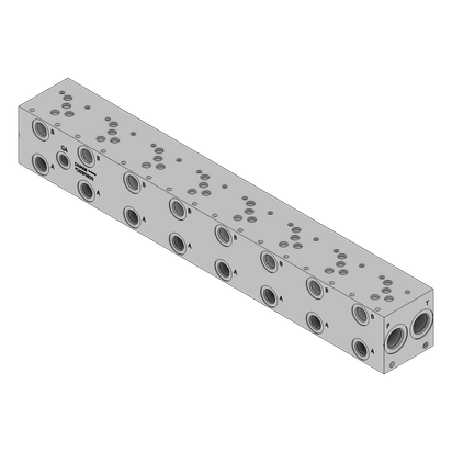 Ductile Valve Manifold - DD05P083S