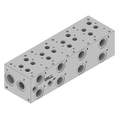 Ductile Valve Manifold - DD07P044S/S