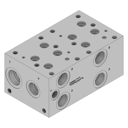 Ductile Valve Manifold - DD08P025S/SPAL