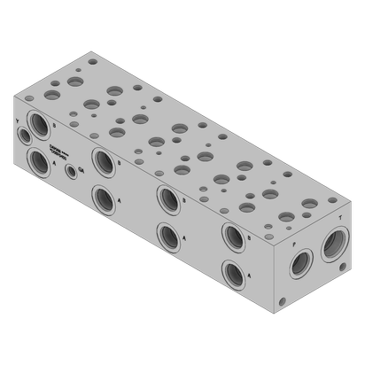 Ductile Valve Manifold - DD08P045S