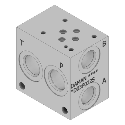 17-4 H1150 Stainless Valve Manifold - SD03P012S