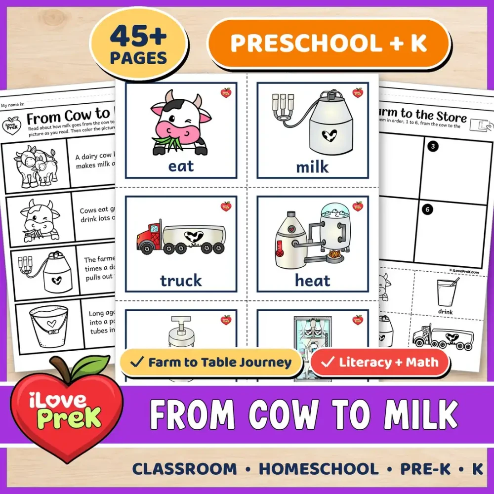 Cow to milk farm to table unit for preschool, pre-K and kindergarten.