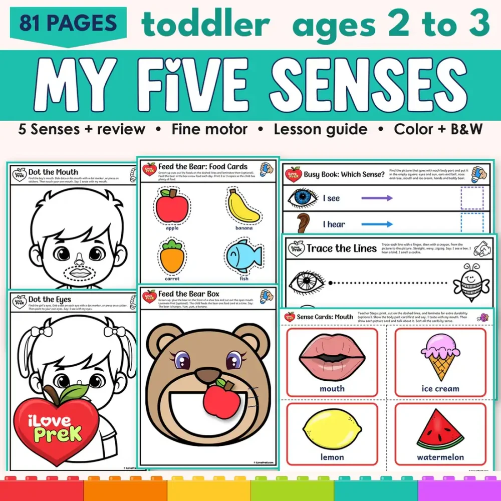 Toddler five senses activities with dot the mouth, dot the eyes, feed the bear box, busy book, trace the lines and sense cards pages.