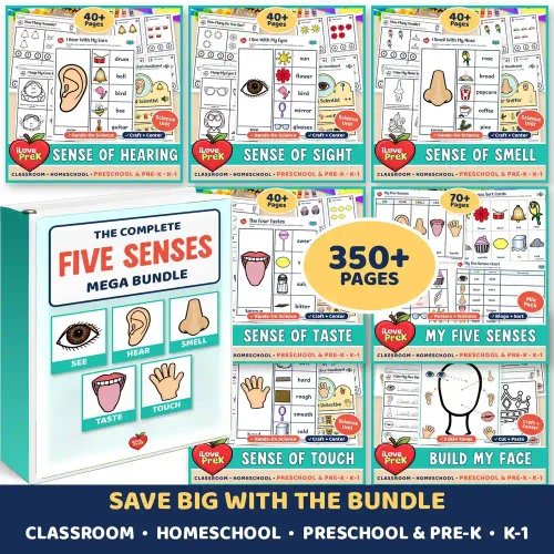 The complete Five Senses Mega Bundle: 9 packs for preschool, pre-K, kindergarten and 1st grade.