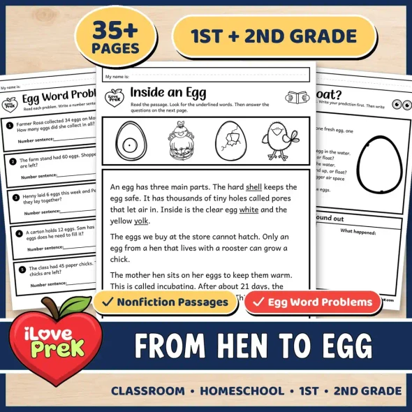 Hen to egg unit for 1st and 2nd grade.