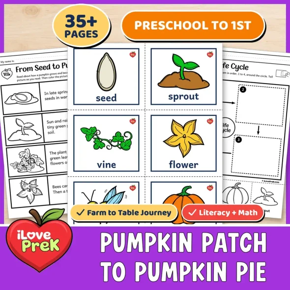 Pumpkin patch to pumpkin pie farm to table unit for preschool to 1st grade.
