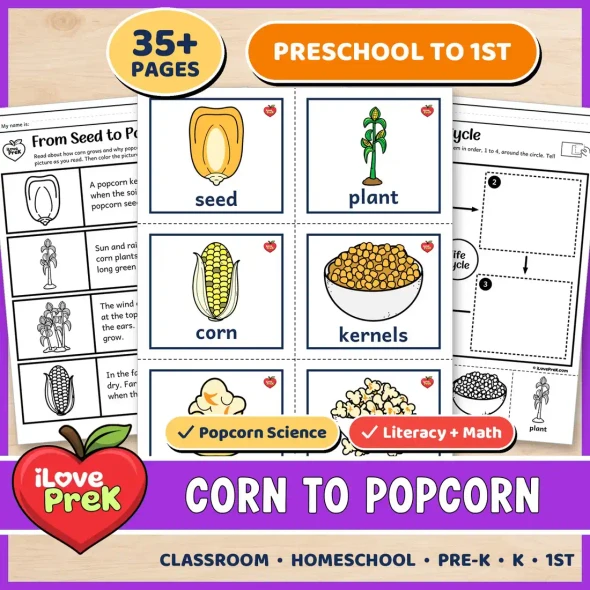 Corn to popcorn farm to table unit for preschool to 1st grade.