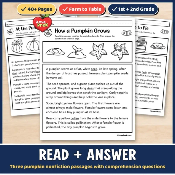 Read and answer: Three pumpkin nonfiction passages with comprehension questions.