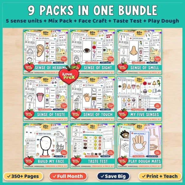 9 packs in one bundle: 5 sense units, the Mix Pack, Build My Face, the Taste Test and Play Dough Mats.