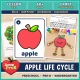 Apple life cycle unit for preschool, pre-K and kindergarten with lesson plan, 60+ printable pages and Apple Buddy craft.