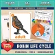 Robin life cycle unit for preschool, pre-K and kindergarten with lesson plan, 60+ printable pages and life cycle wheel craft.