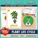 Plant life cycle unit for preschool, pre-K and kindergarten with lesson plan, 60+ printable pages and life cycle wheel craft.
