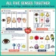 All five senses together: anchor chart, bingo, station signs and sort cards from the Mix Pack.