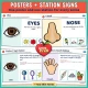 Color five senses posters and station signs, one for every sense, in two skin tones.