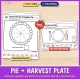 Pie and harvest plate: Decorate a pumpkin pie and fill a harvest plate with your favorite foods.