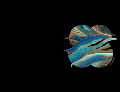 First Nations Collective