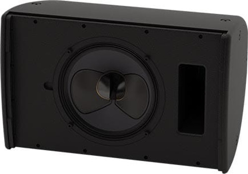 Martin Audio CDD10RAL