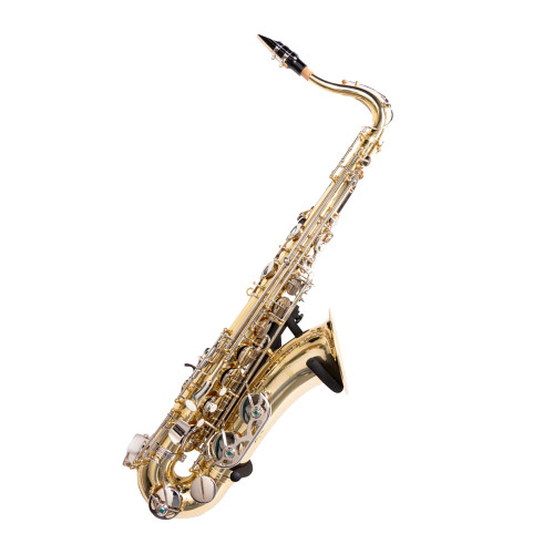 Gator GFW-SAXHNGR-BLK