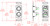 RDL DB-XLR2C