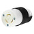 Whirlwind HBL4729C
