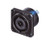 Whirlwind NLT8MP-BAG