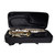 Gator GBB-ALTOSAX