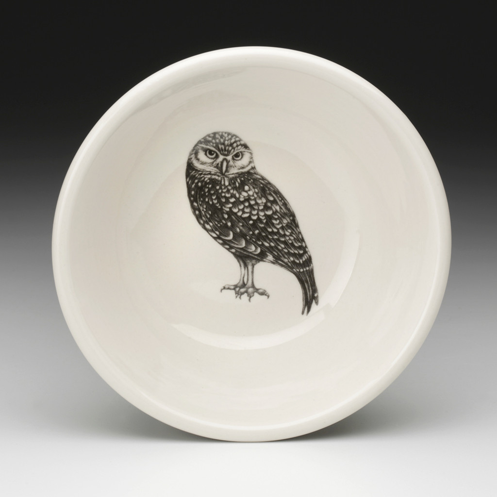 Cereal Bowl: Burrowing Owl